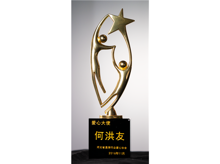 爱心大使-何洪友